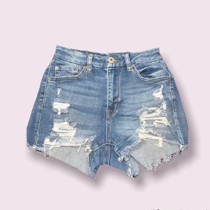 Curvy High Rise Shorts